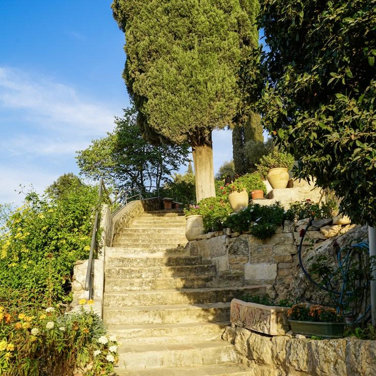 Family terraces and cafés for calm evenings in New York